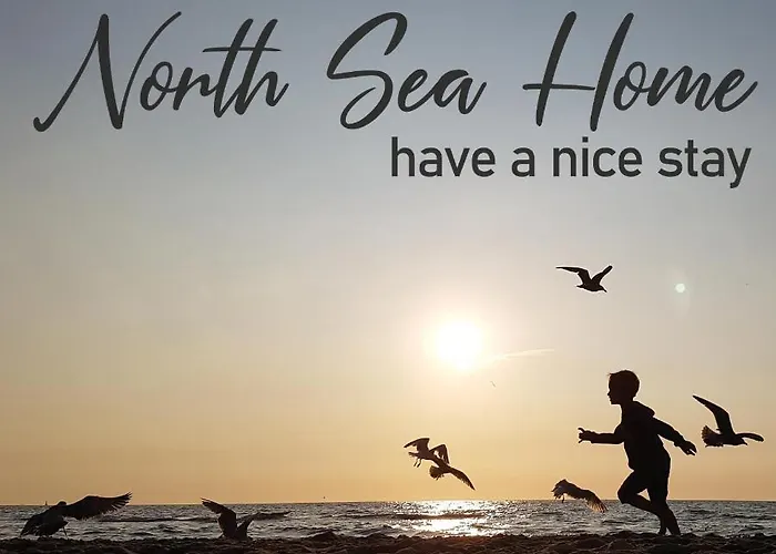 Have A Stay! - North Sea *